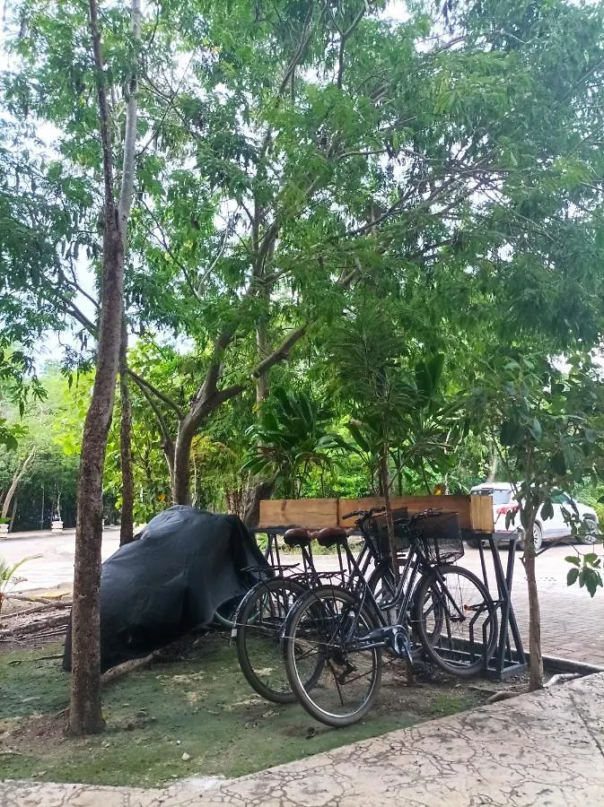 Cozy Condo 1Br Wifi & Gym Tulum Gaia Apartment