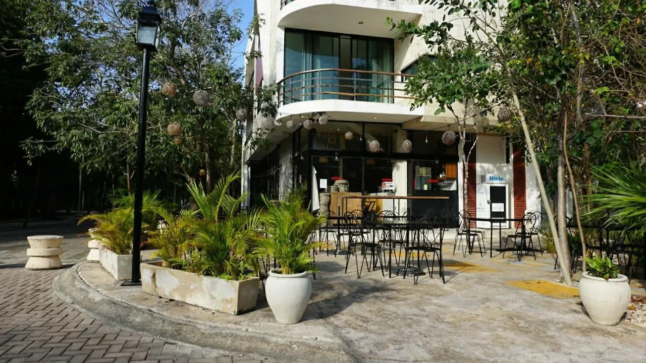 Apartment Cozy Condo 1Br Wifi & Gym Tulum Gaia