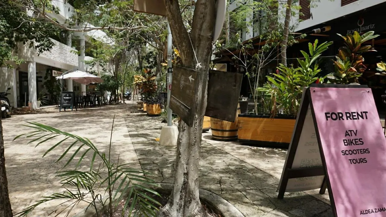 Cozy Condo 1Br Wifi & Gym Tulum Gaia 0*,