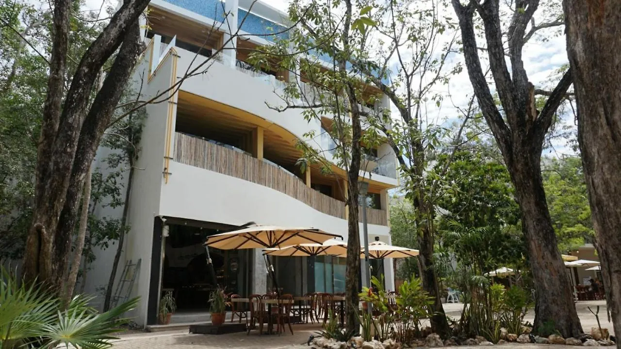 Cozy Condo 1Br Wifi & Gym Tulum Gaia Apartment